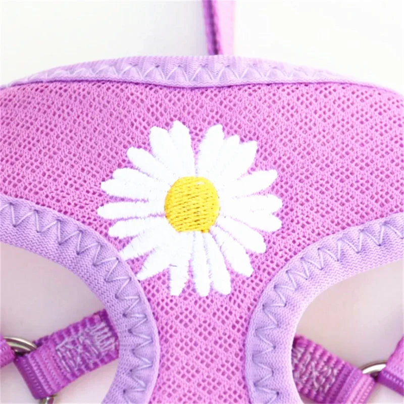 Daisy-Embroidered Mesh Pet Harness & 120 cm Leash Set