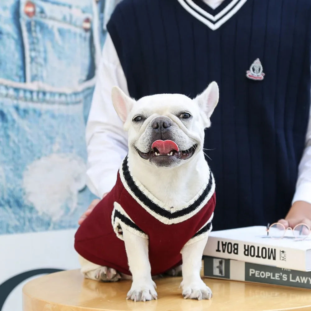 Varsity-Style V-Neck Pet Sweater