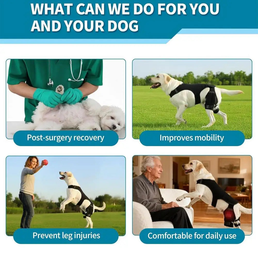 Adjustable Dog Rear-Leg Brace with Wraparound Harness