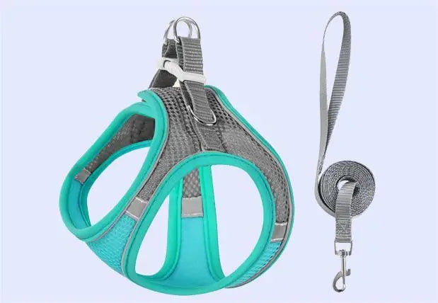 Reflective-Trim Pet Vest Harness & 1.5 m Leash Set
