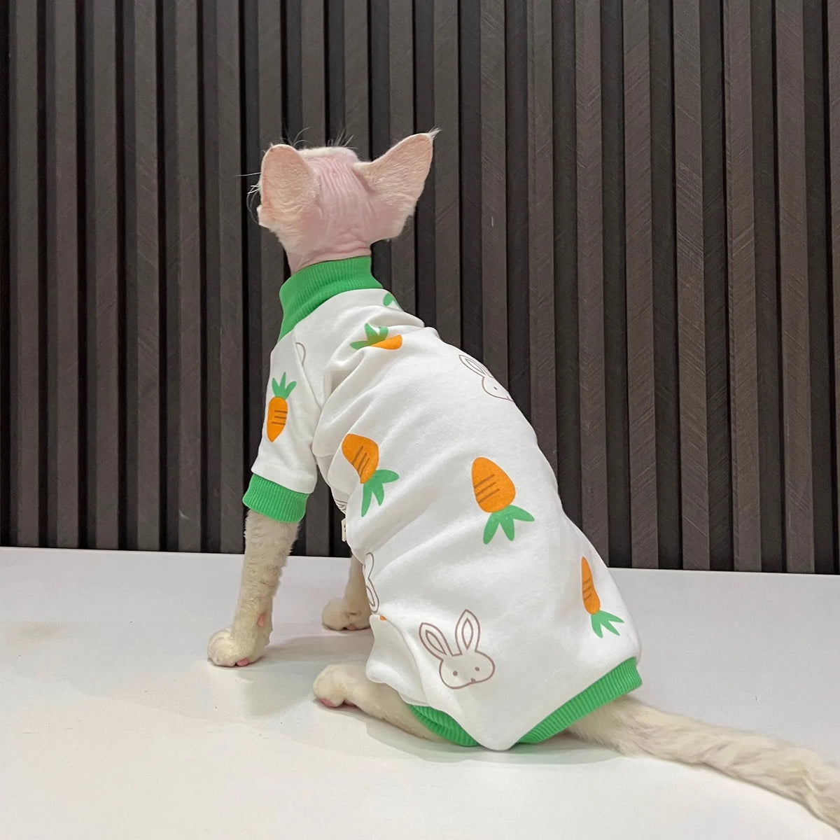 Bunny & Carrot Cat Jumpsuit with Green Trim