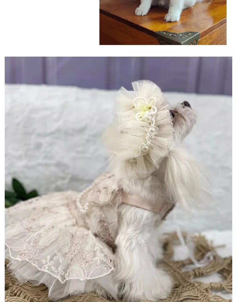 Floral Lace Pet Occasion Outfit, Dress or Suit