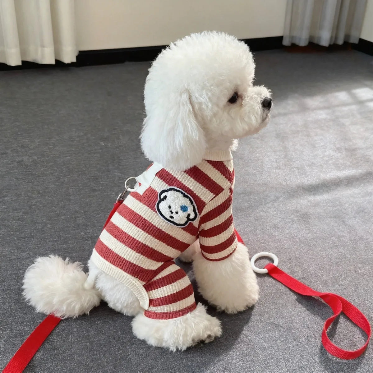Red Striped Four-Leg Pet Onesie with Bear Patch