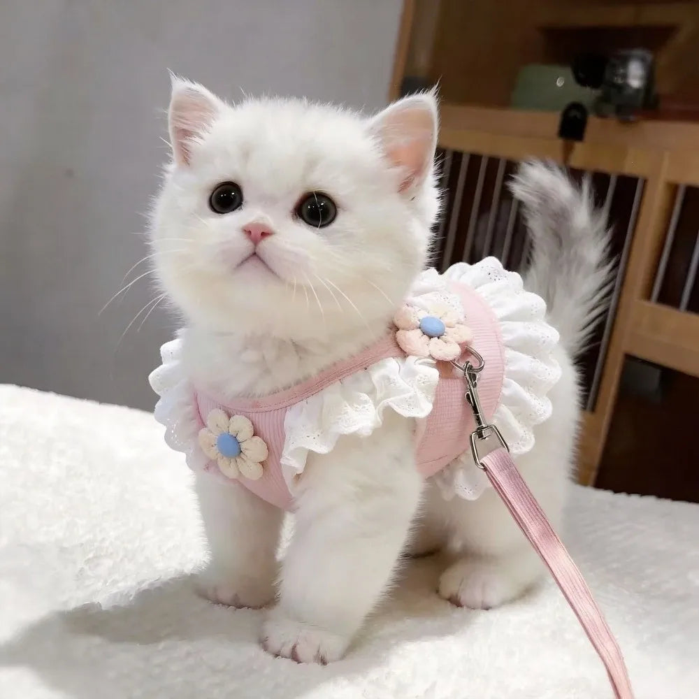 Lace-Trim Flower Pet Harness & Matching Leash Set