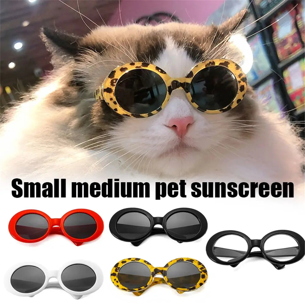 Round-Frame Pet Photo Glasses, Eyewear or Strap Option