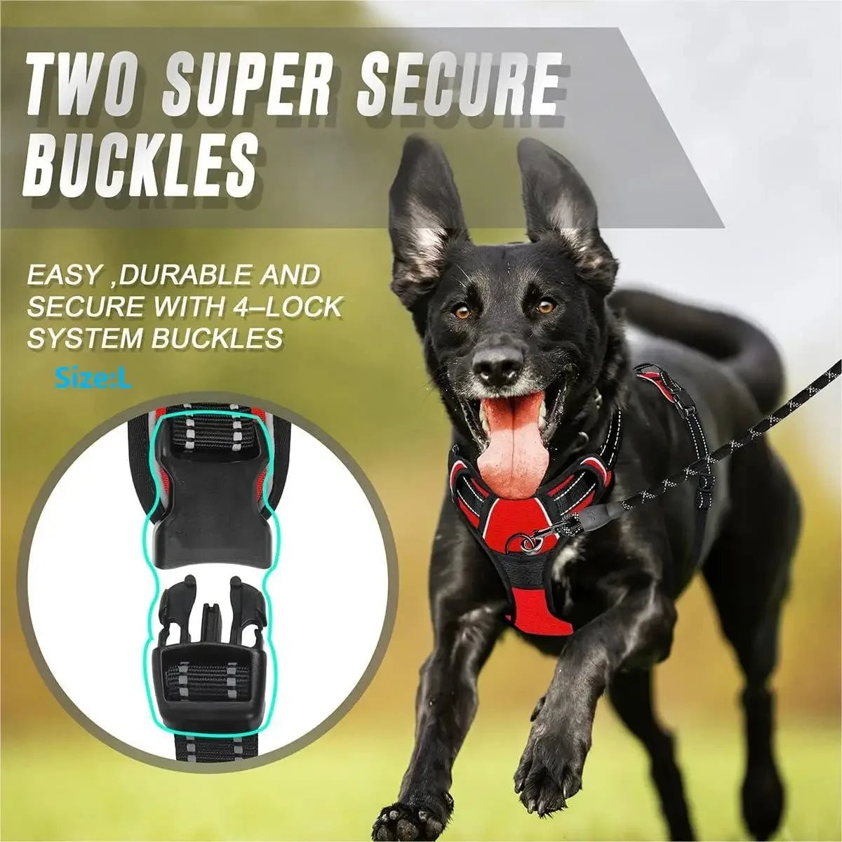 Adjustable Dog Vest Harness with Contrast Trim