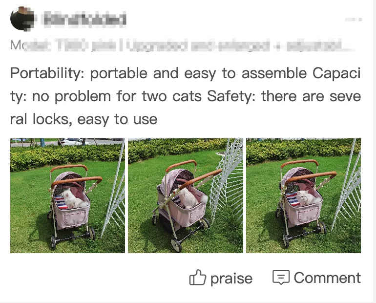 Folding Pet Stroller with Detachable Carrier & Lower Basket