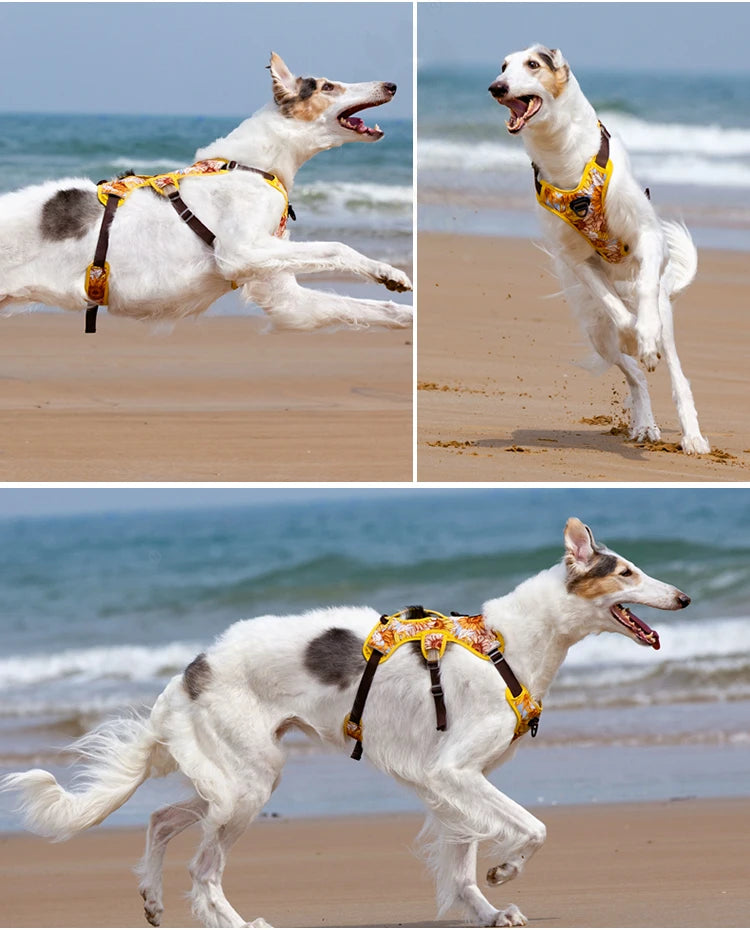 Adjustable Padded Nylon Dog Harness with Reflective Details