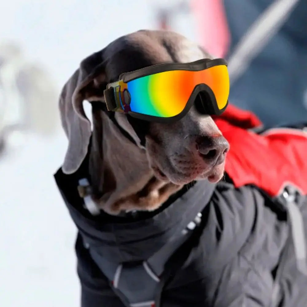 Wraparound Dog Photo Goggles with Adjustable Strap