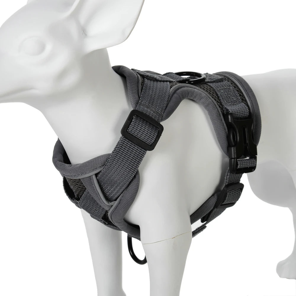 Adjustable Mesh Pet Harness & Coordinating Leash Set