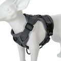 Adjustable Mesh Pet Harness & Coordinating Leash Set