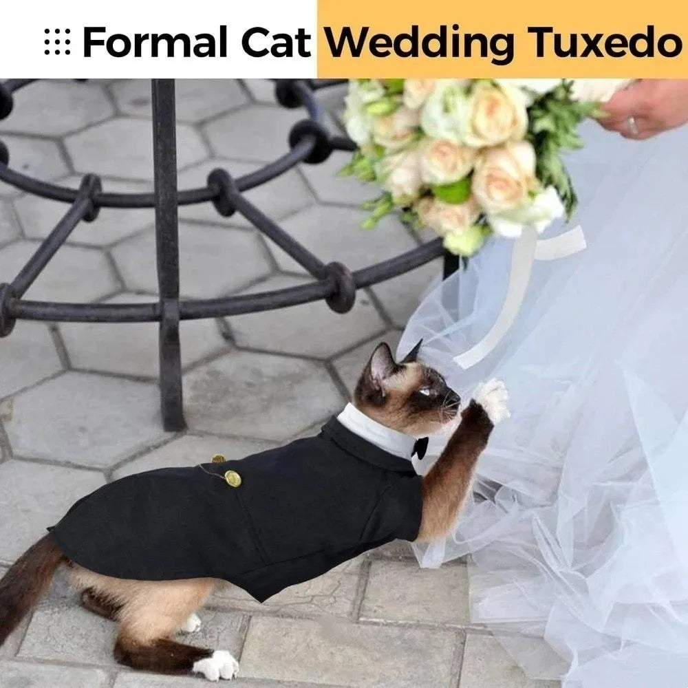 Bow-Tie Cat Tuxedo in Black or Grey
