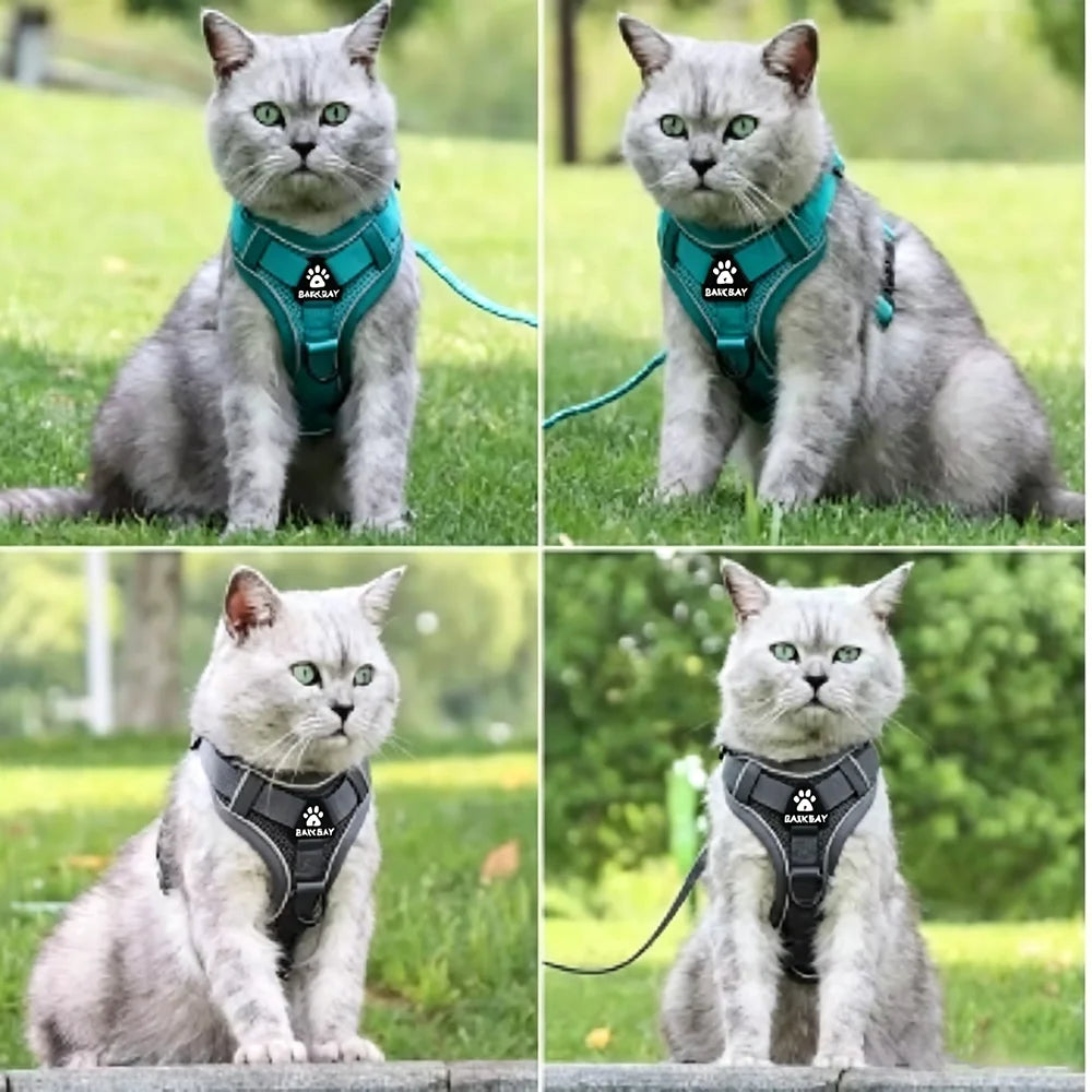 Adjustable Mesh Pet Harness & Coordinating Leash Set