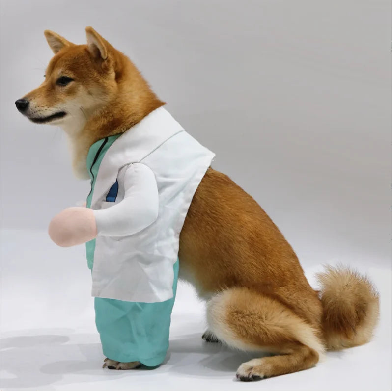 Doctor Dog Costume with Scrubs & Lab Coat