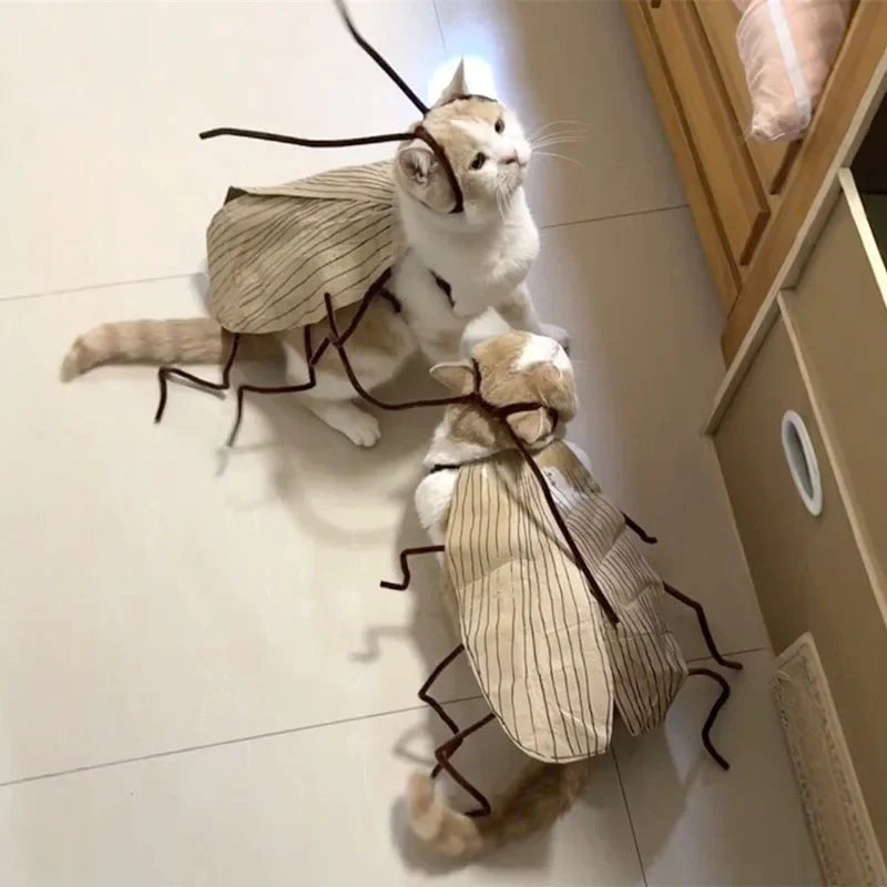DIY Cockroach Cat Costume Material Kit