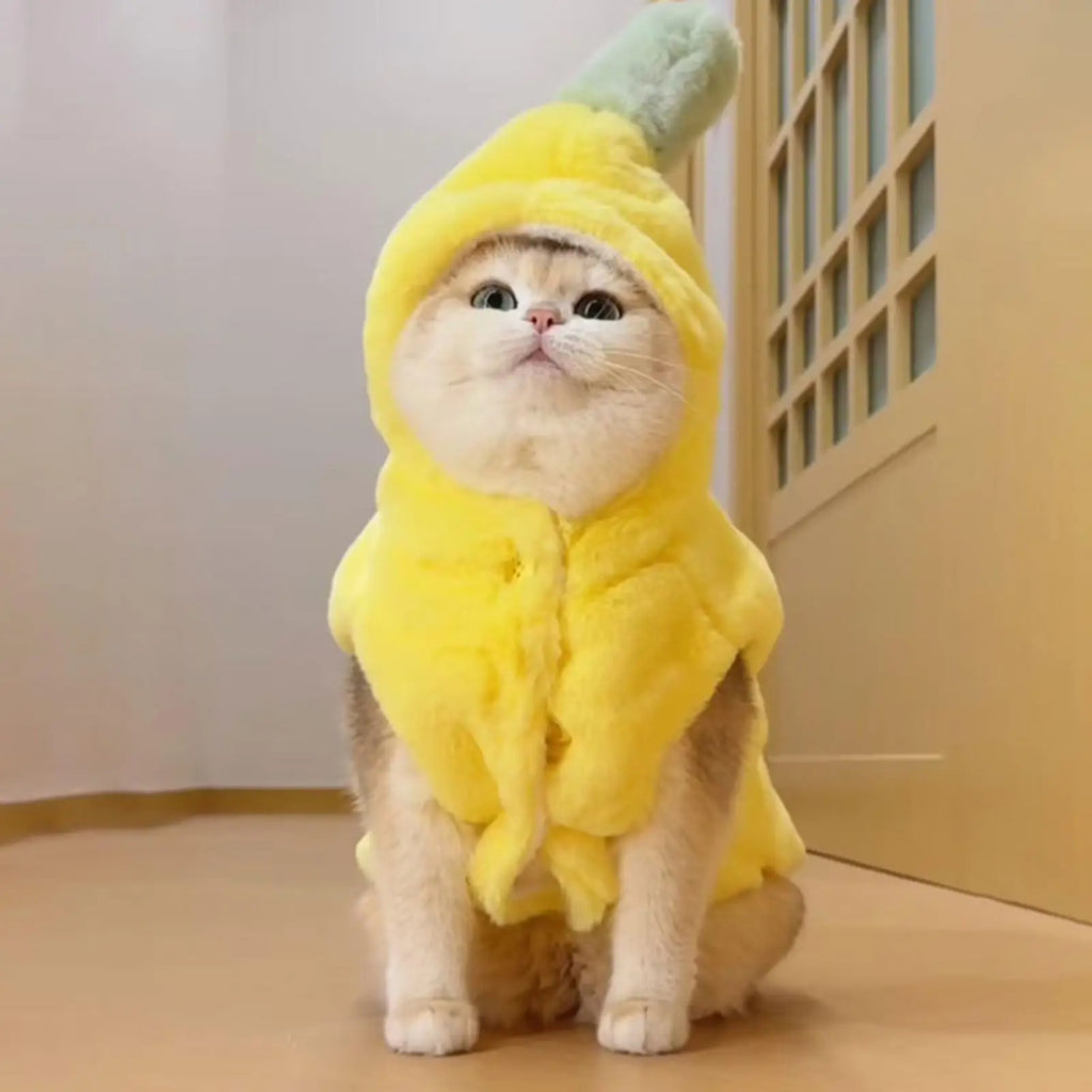 Plush Banana Hooded Pet Costume