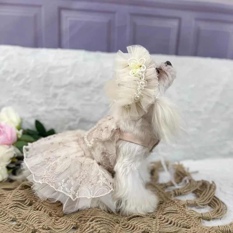 Floral Lace Pet Occasion Outfit, Dress or Suit