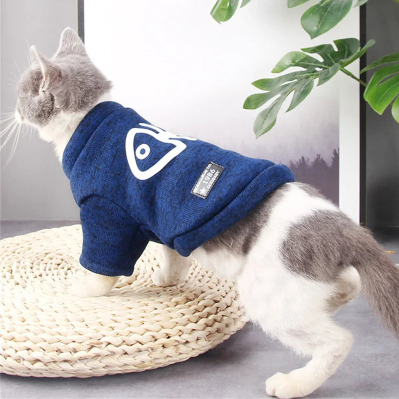 Fish-Graphic Cat Pullover