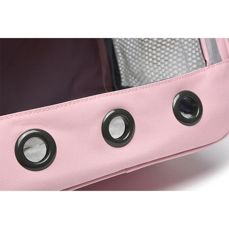 Compact Small-Pet Carrier with Clear Window & Mesh Sides