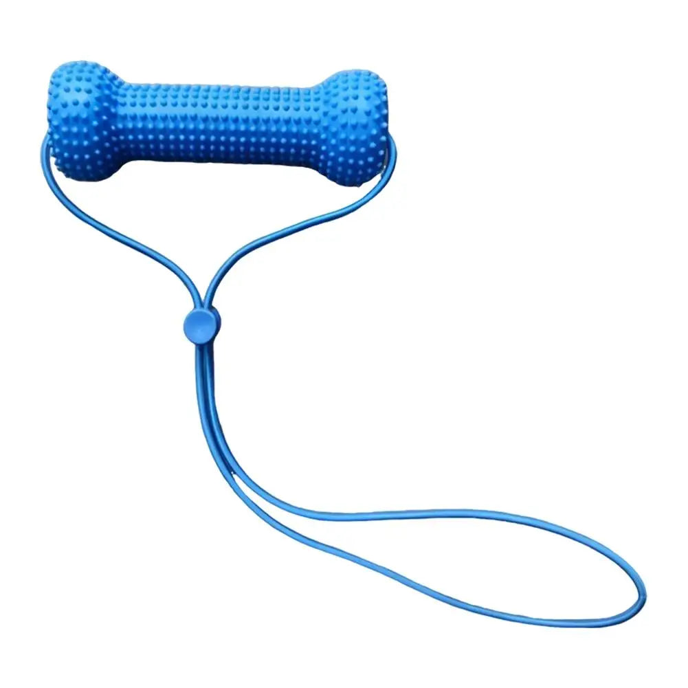 Blue Textured Bone Dog Toy with Play Cord