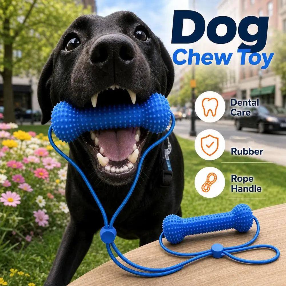 Blue Textured Bone Dog Toy with Play Cord