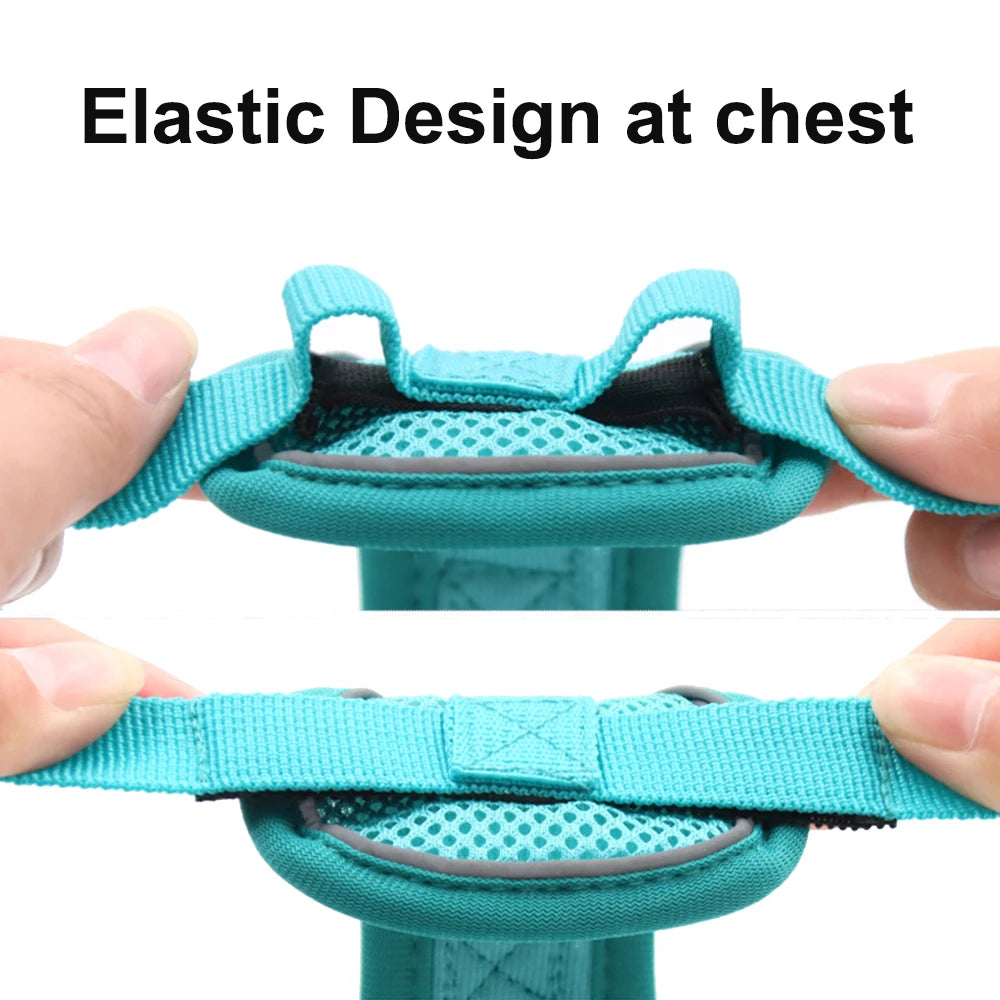 Adjustable Mesh Pet Harness & Coordinating Leash Set