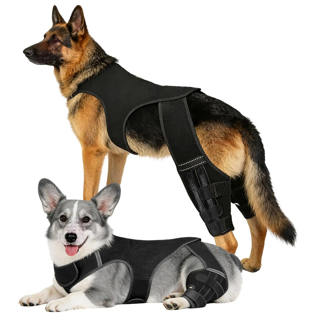 Adjustable Dog Rear-Leg Brace with Wraparound Harness