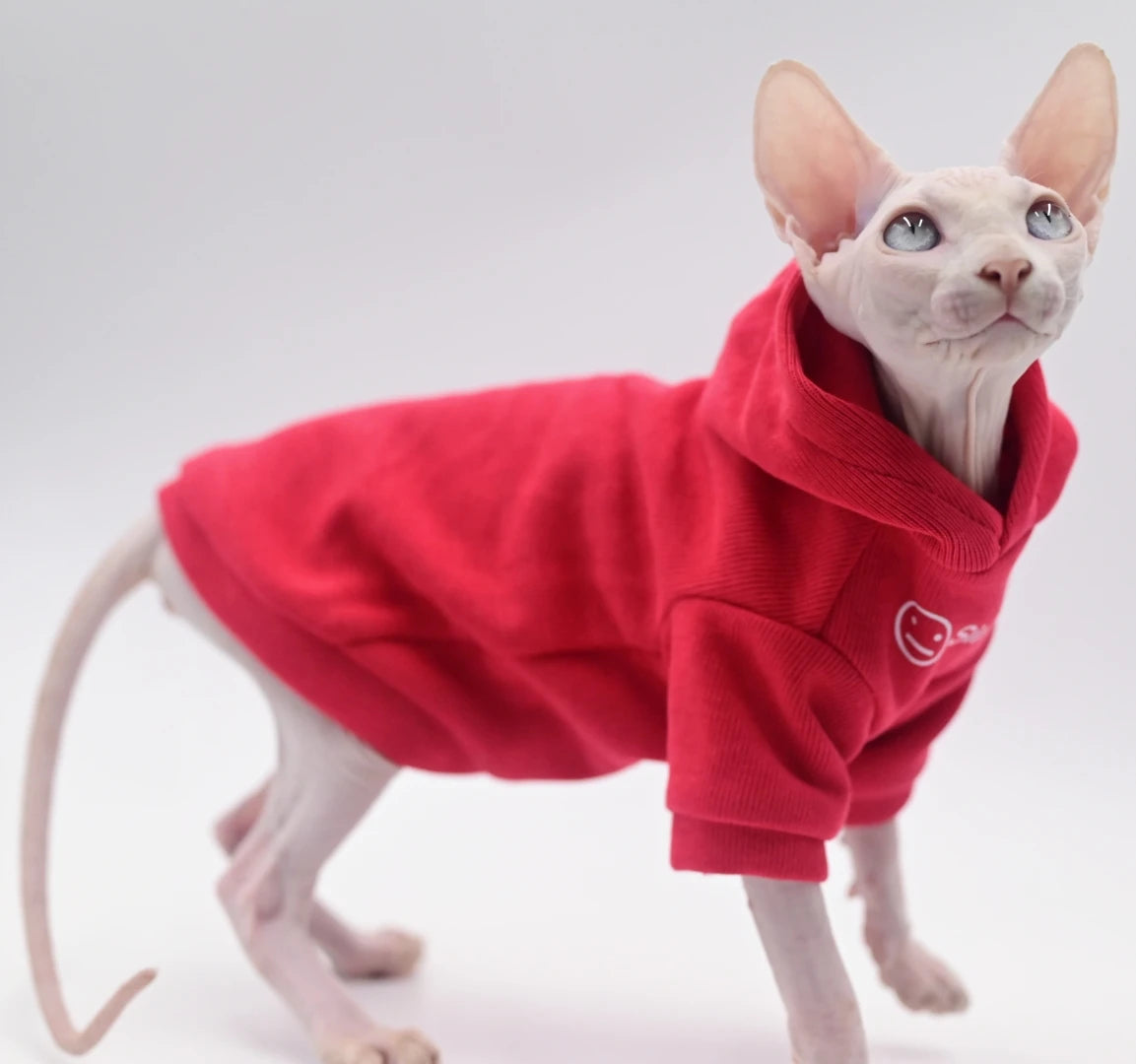 Red Cotton Cat Hoodie for Sphynx Cats