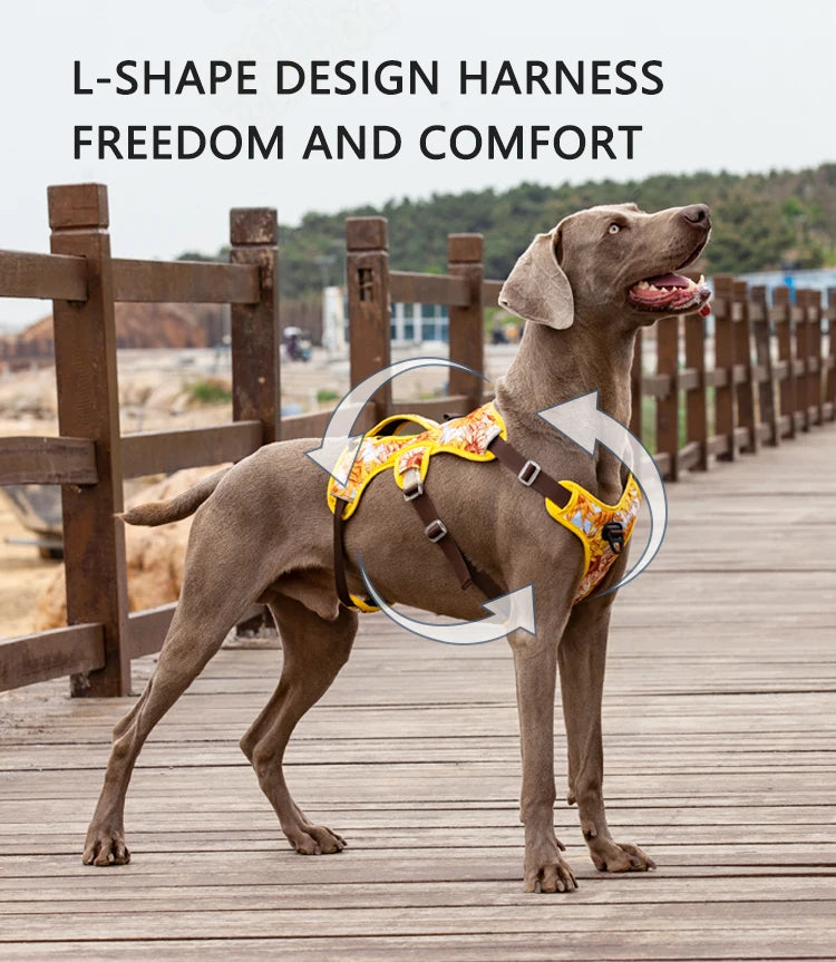 Adjustable Padded Nylon Dog Harness with Reflective Details