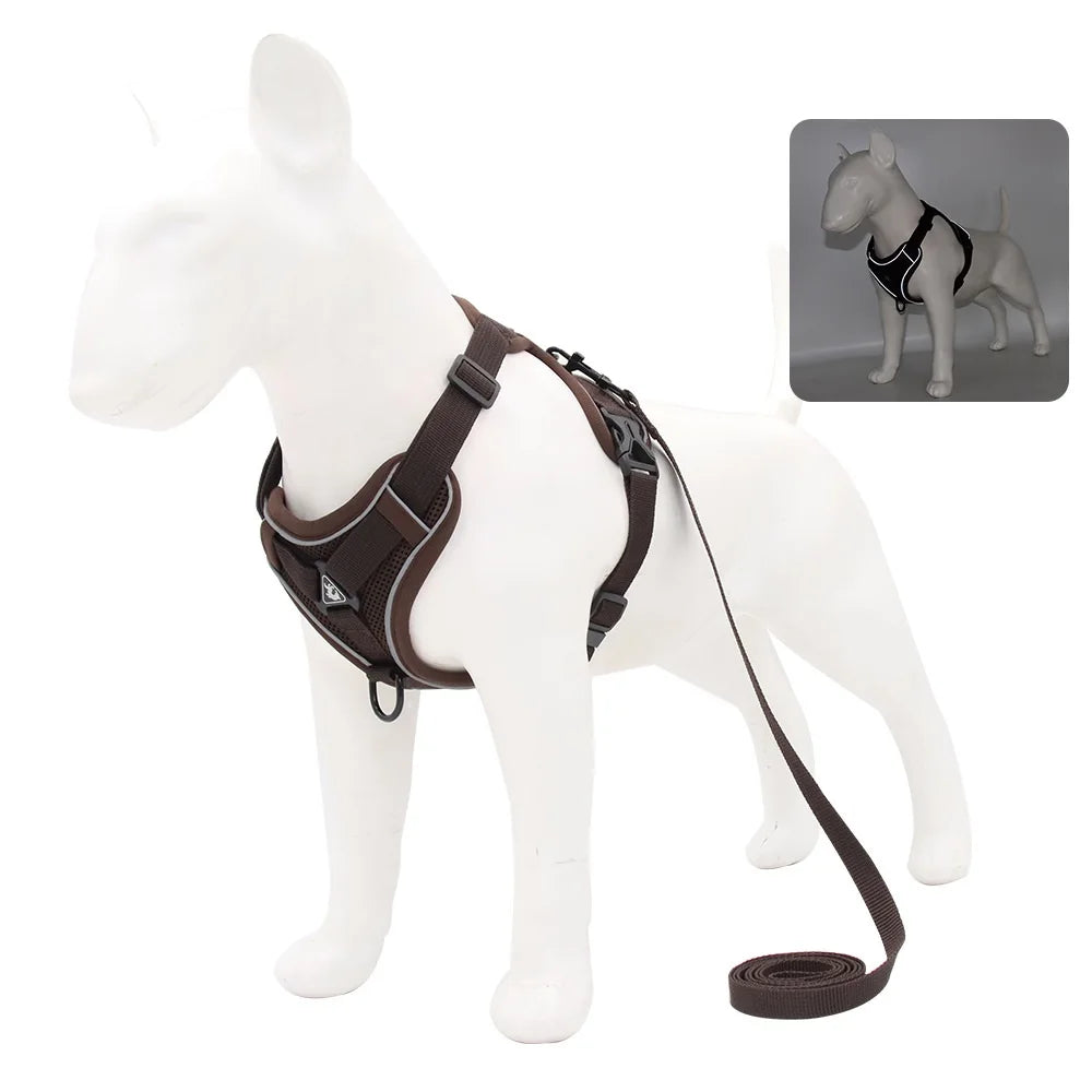 Solid-Color Mesh Pet Harness & 150 cm Leash Set