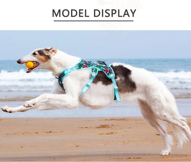 Adjustable Padded Nylon Dog Harness with Reflective Details