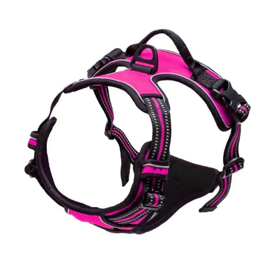 Adjustable Dog Vest Harness with Contrast Trim