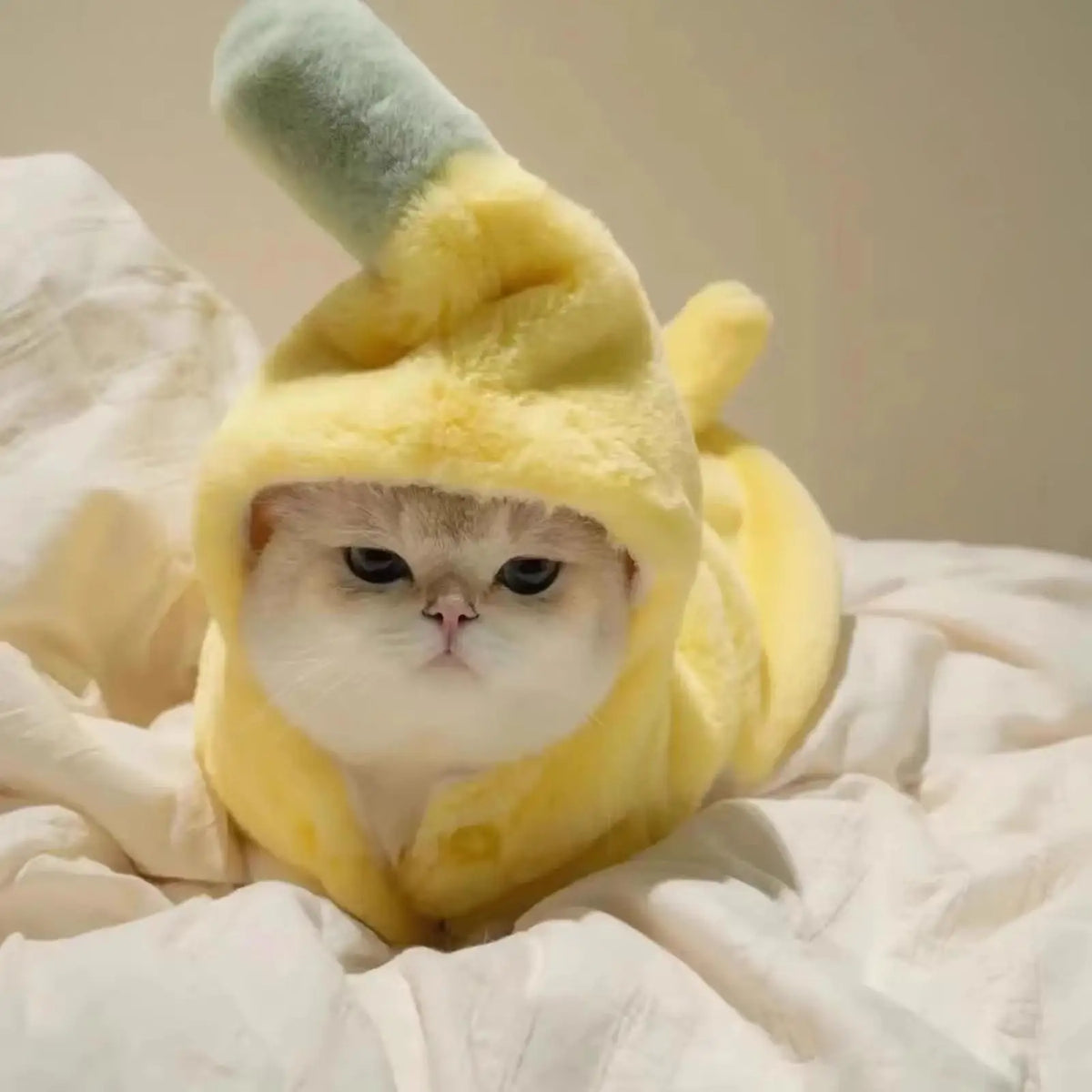 Plush Banana Hooded Pet Costume