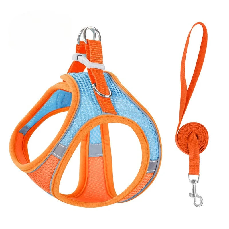 Reflective-Trim Pet Vest Harness & 1.5 m Leash Set