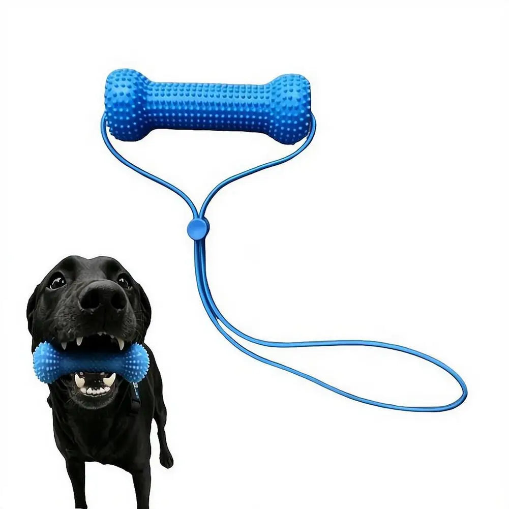Blue Textured Bone Dog Toy with Play Cord