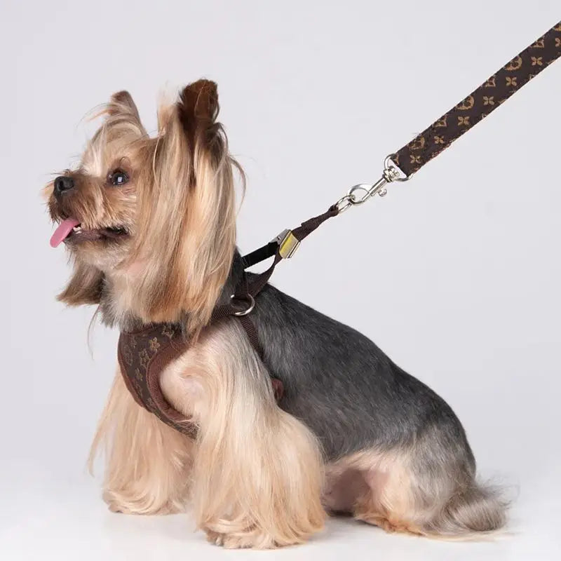 Classic-Pattern Mesh Pet Harness & Leash Set