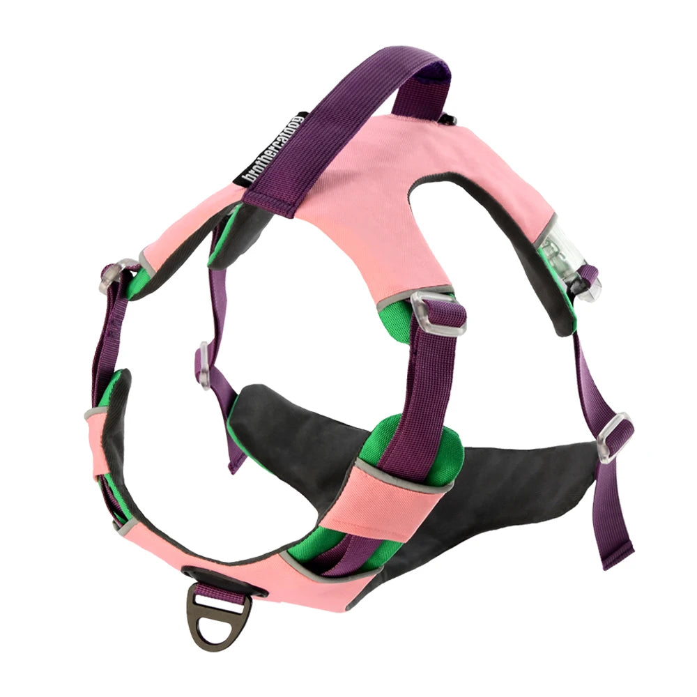 Adjustable Padded Nylon Dog Harness with Reflective Details