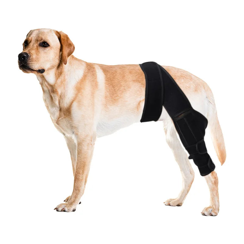 Dog Leg Wraps and Connected Paw Covers, Six Styles