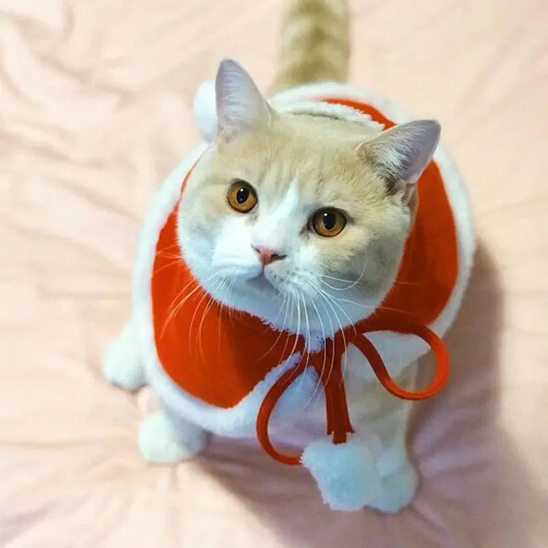 Santa Hooded Pet Cape with Pom-Pom Trim