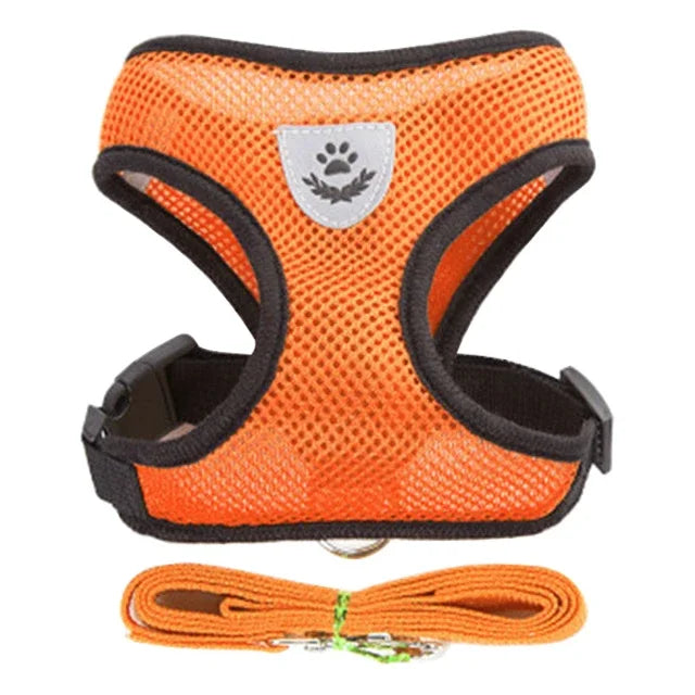 Adjustable Mesh Pet Harness & 120 cm Leash Set