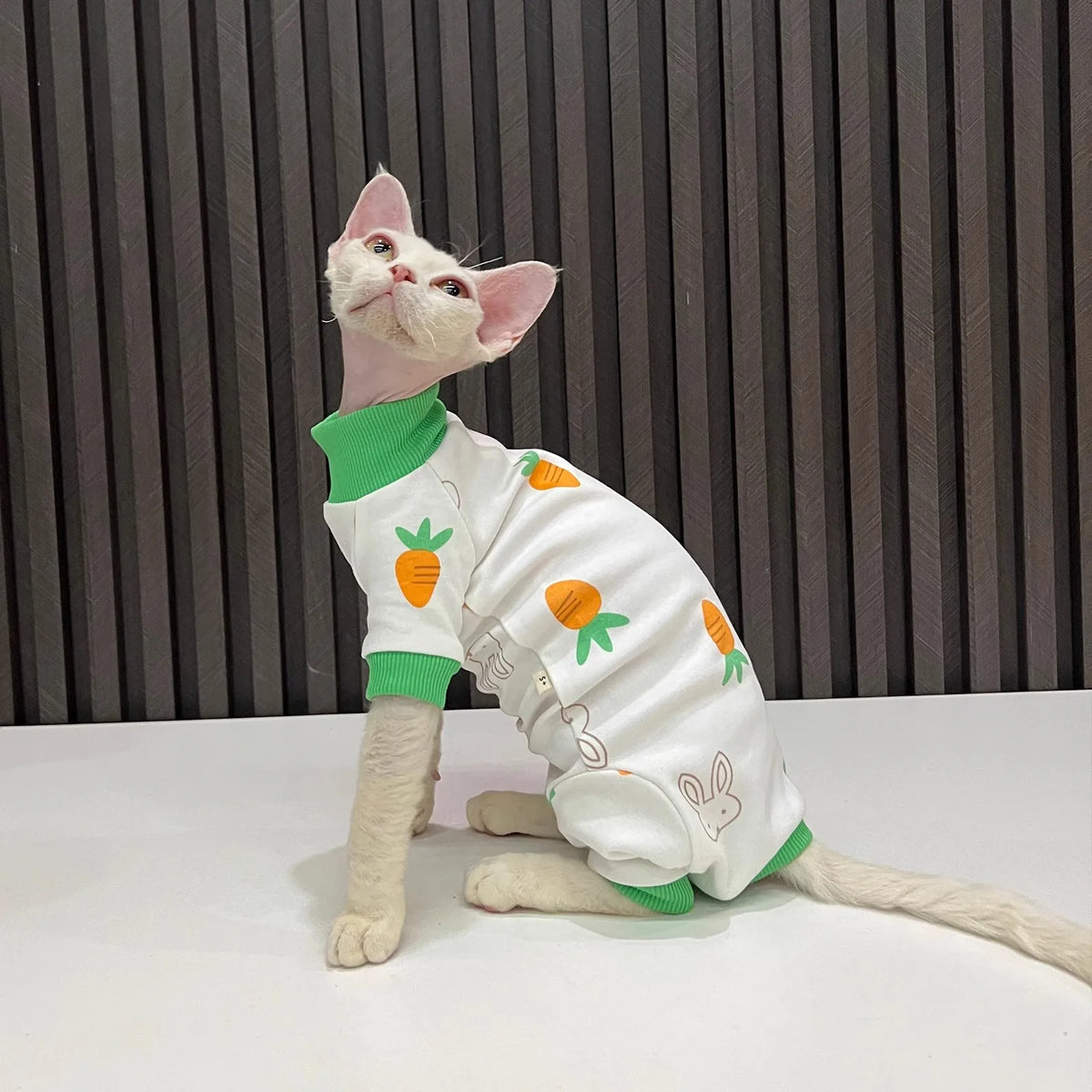 Bunny & Carrot Cat Jumpsuit with Green Trim