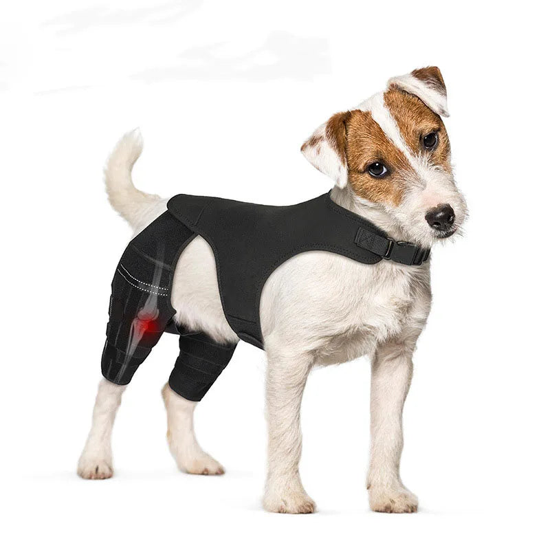 Dog Rear-Leg Brace with Body Strap