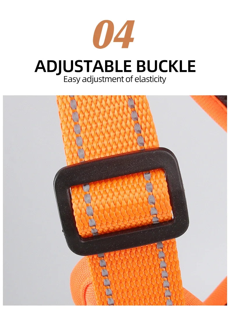 Adjustable Dog Harness with Reflective Trim & Top Handle