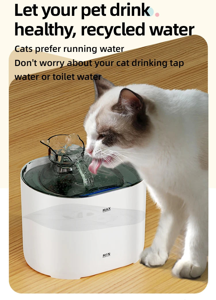 2L Pet Water Fountain with Removable Reservoir
