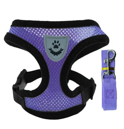 Adjustable Mesh Pet Harness & 120 cm Leash Set