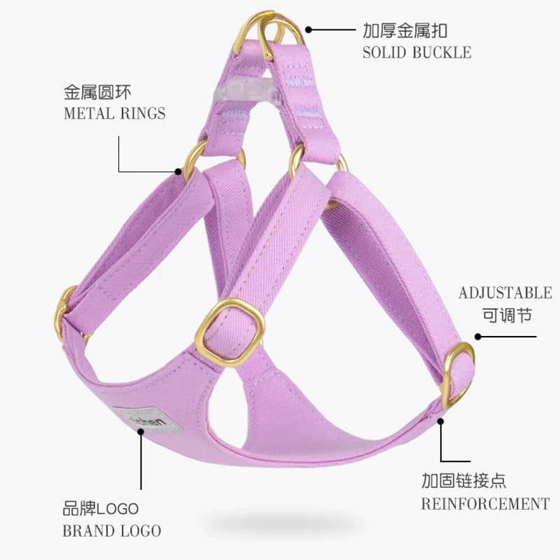 Suede-Look Pet Harness & Coordinating Leash Set