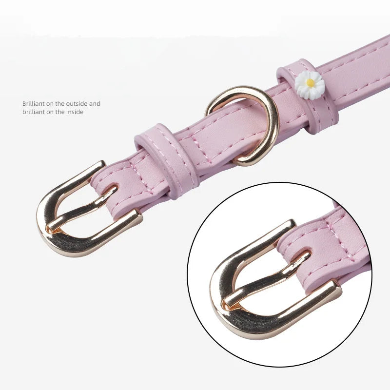 Pastel Daisy Pet Collar with Gold-Tone Buckle