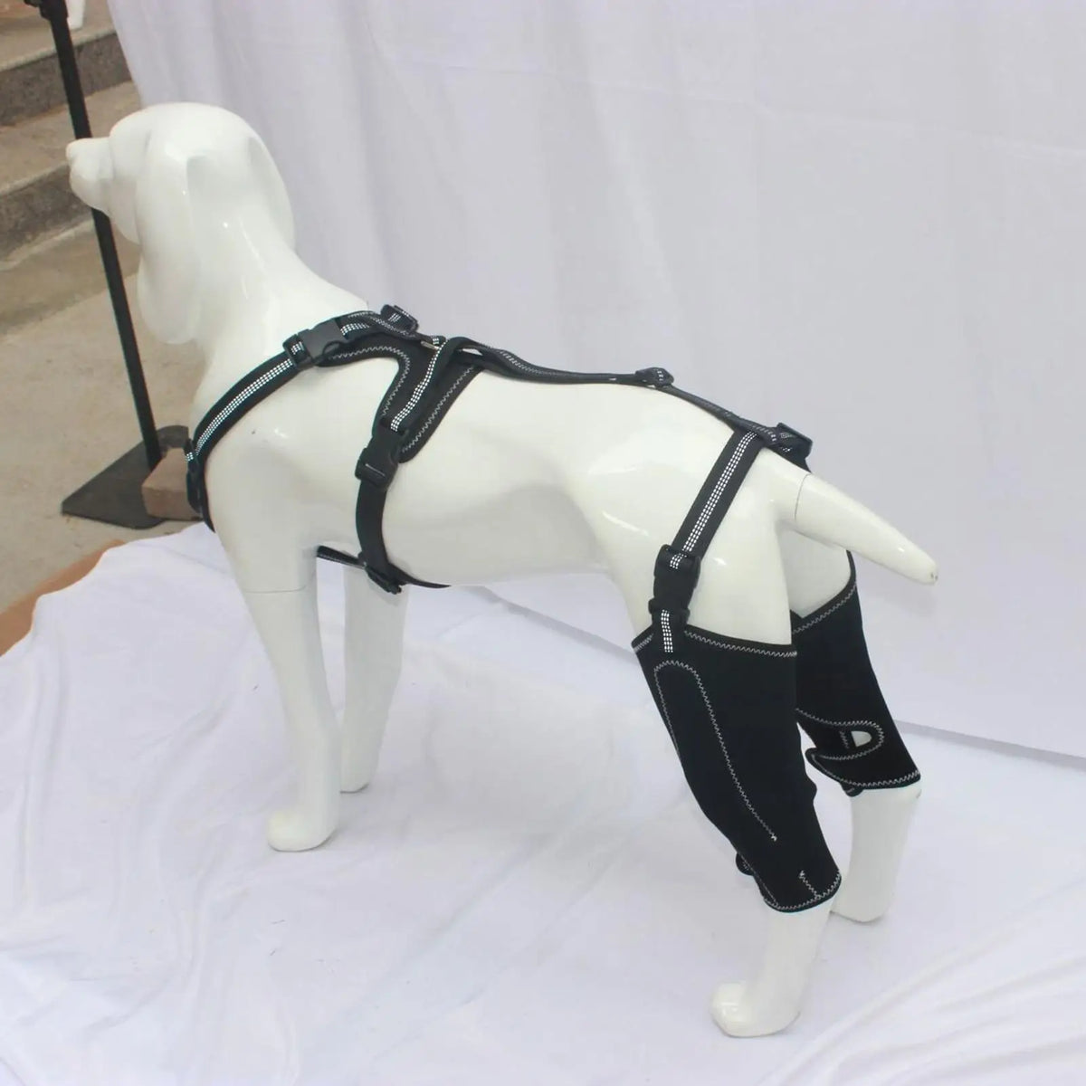 Dog Rear-Leg Brace with Adjustable Chest Harness