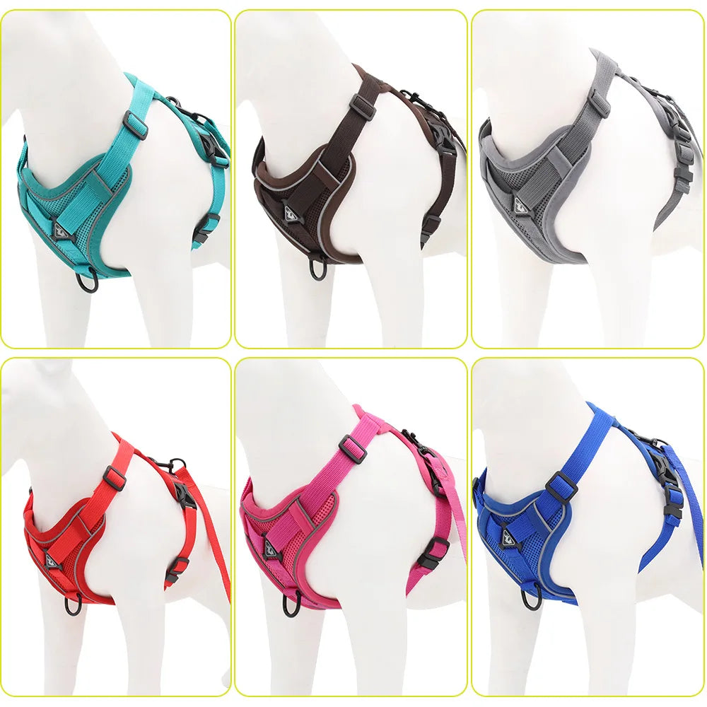 Solid-Color Mesh Pet Harness & 150 cm Leash Set