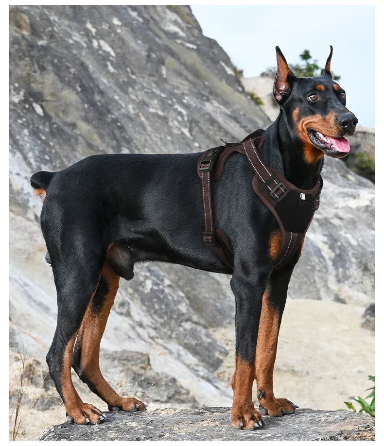 Adjustable Dog Harness with Reflective Trim & Top Handle